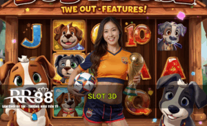 Slot 3D Rr88